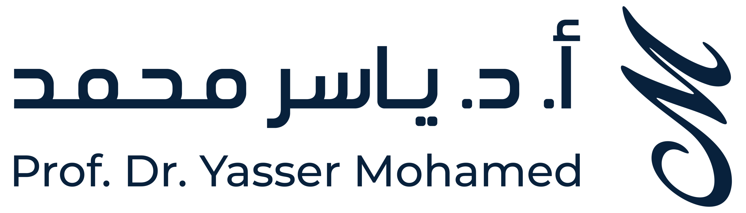 الأستاذ الدكتور ياسر محمد